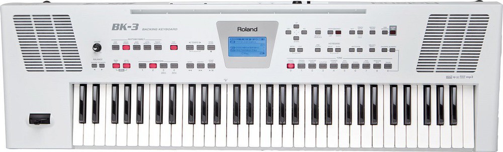 Roland-BK3