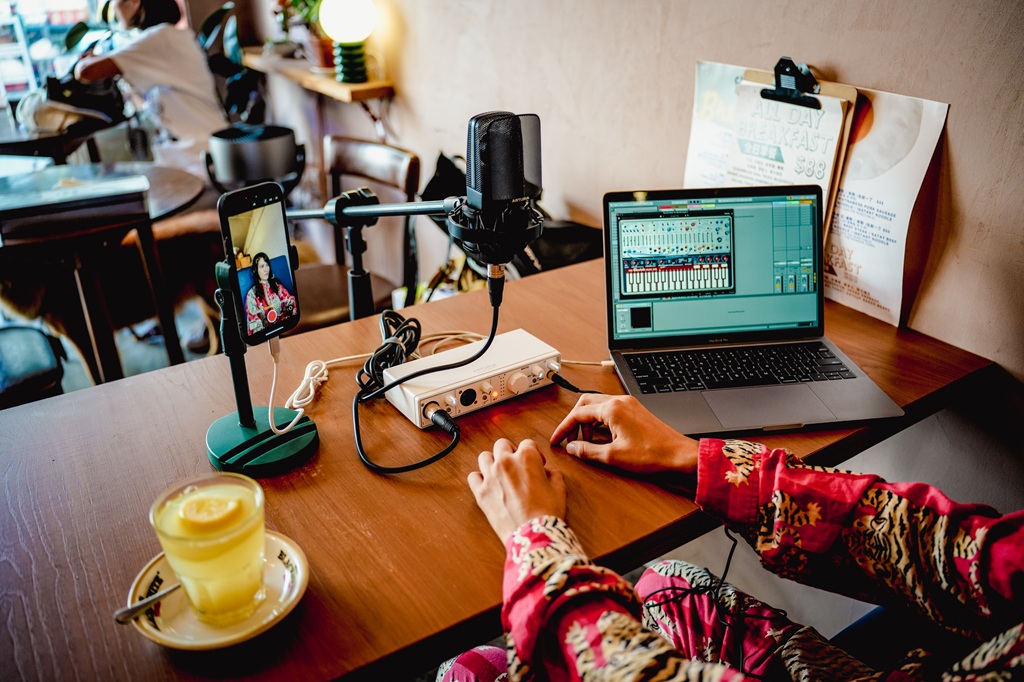 Arturia MiniFuse_OTG_mobiles Setup Audiointerface