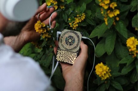 Der INSTRUO Pocket Scion gewinnt seine Steuerdaten direkt aus lebenden Organismen. Mit den Sensorclips werden kleinste Veränderungen der elektrischen Leitfähigkeit von Pflanzen in Klänge und MIDI-Daten übersetzt.