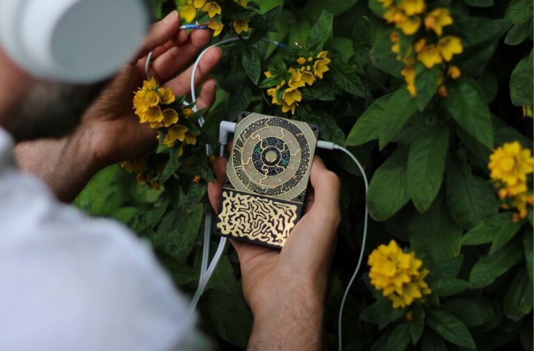 INSTRUO Pocket Scion Test – Biofeedback als Klangquelle